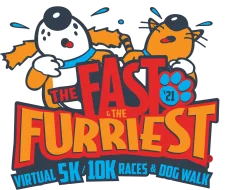 virtual fast furriest