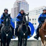 The Mounted Patrol Division of the Rochester Police Department